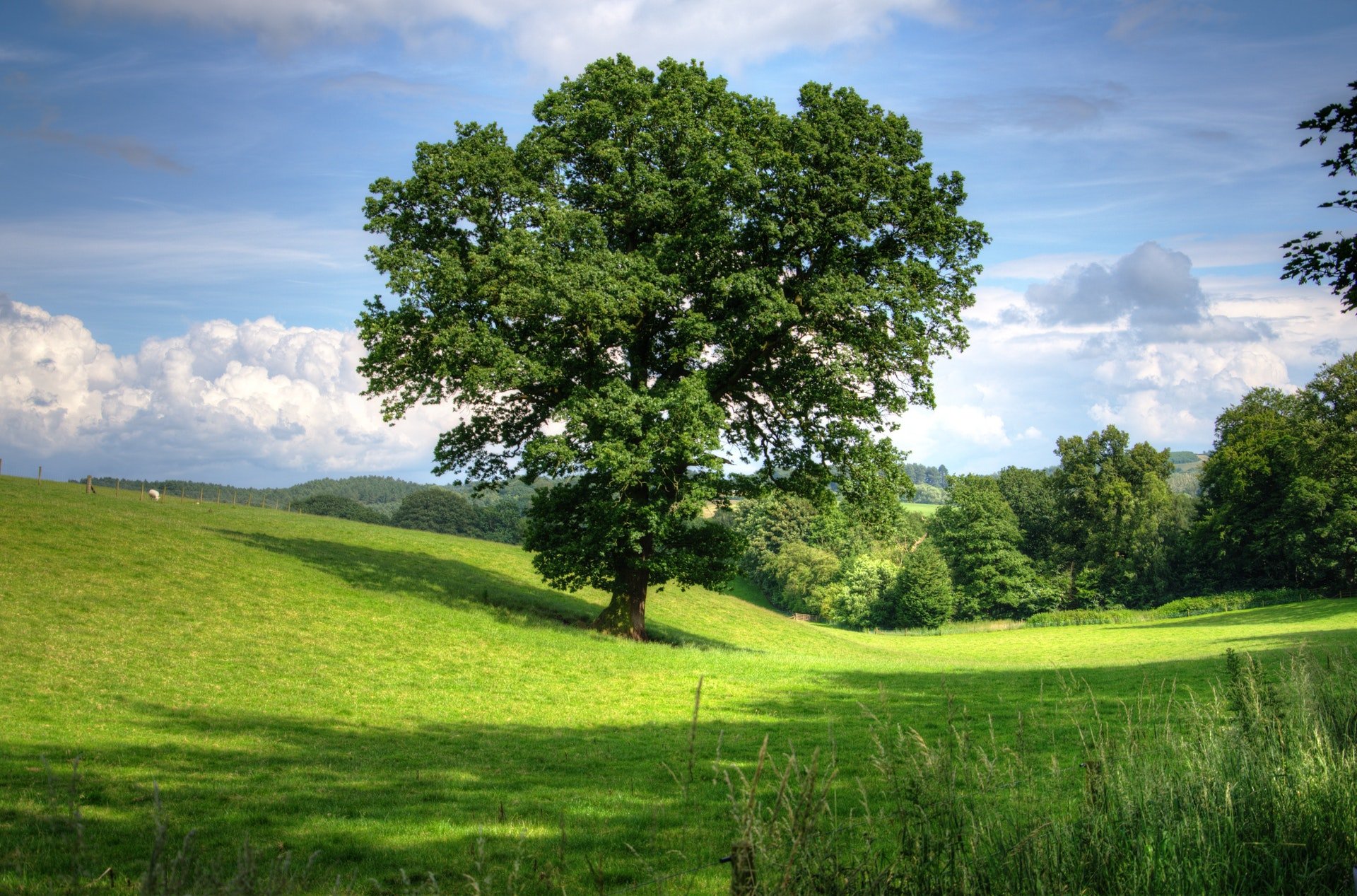 Spedizioni Ecologiche